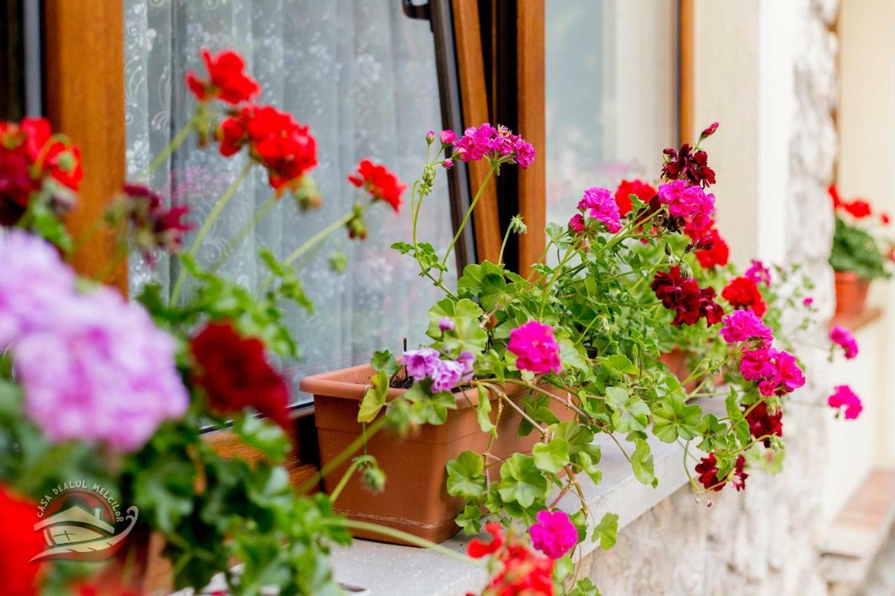 Casa Dealul Melcilor Brasov Ngoại thất bức ảnh